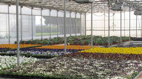 Il est possible de bénéficier des aides à l'investissement de FranceAgriMer jusqu'au 26 février 2016, alors que l'enveloppe globale a été abondée de 6 millions d'euros supplémentaires. (c)Pascal Fayolle Il est possible de bénéficier des aides à l'investissement de FranceAgriMer jusqu'au 26 février 2016, alors que l'enveloppe globale a été abondée de 6 millions d'euros supplémentaires. (c)Pascal Fayolle