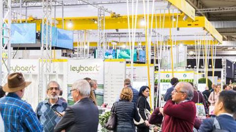 ©Alex Muchnik/Messe Essen GMBH  Le forum international horticole mettra la Belgique à l'honneur. ©Alex Muchnik/Messe Essen GMBH  Le forum international horticole mettra la Belgique à l'honneur.