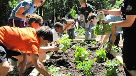 Trois catégories d' « imaginaires » se retrouvent dans un jardin partagé : le « communautaire », le « tous ensemble » et « la rencontre ». ©Isabelle Cordier   Trois catégories d' « imaginaires » se retrouvent dans un jardin partagé : le « communautaire », le « tous ensemble » et « la rencontre ». ©Isabelle Cordier  