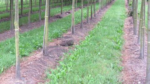 ©PHOTO Valérie Vidril ©PHOTO Valérie Vidril