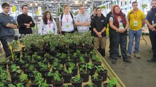 Après une quinzaine d'heures d'épreuves sur trois jours, les candidats ont droit aux félicitations des jurys (bénévoles) et à des cadeaux de leurs sponsors. Sur cette photo : les compétiteurs pour le métier horticulture, en 2017 durant les finales à Bordeaux. ©Odile Maillard Après une quinzaine d'heures d'épreuves sur trois jours, les candidats ont droit aux félicitations des jurys (bénévoles) et à des cadeaux de leurs sponsors. Sur cette photo : les compétiteurs pour le métier horticulture, en Après une quinzaine d'heures d'épreuves sur trois jours, les candidats ont droit aux félicitations des jurys (bénévoles) et à des cadeaux de leurs sponsors. Sur cette photo : les compétiteurs pour le métier horticulture, en 2017 durant les finales à Bordeaux. ©Odile Maillard Après une quinzaine d'heures d'épreuves sur trois jours, les candidats ont droit aux félicitations des jurys (bénévoles) et à des cadeaux de leurs sponsors. Sur cette photo : les compétiteurs pour le métier horticulture, en