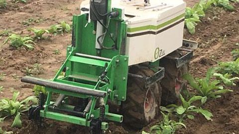 Les robots de désherbage sont pour l'instant la face la plus visible de l'apparition de la robotique en agriculture. Mais elle s'immisce un peu partout dans notre activité. ©Pascal Fayolle Les robots de désherbage sont pour l'instant la face la plus visible de l'apparition de la robotique en agriculture. Mais elle s'immisce un peu partout dans notre activité. ©Pascal Fayolle
