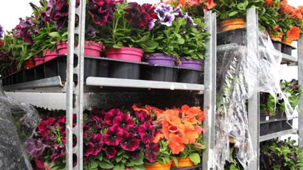 Orfidhorti permet une gestion en mode multicollecteur en fonction des zones de livraison de chaque adhérent. ©Pascal Fayolle Orfidhorti permet une gestion en mode multicollecteur en fonction des zones de livraison de chaque adhérent. ©Pascal Fayolle