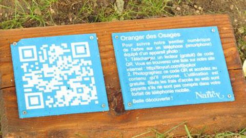 La moitié des villes de l'observatoire des villes vertes sont dotées d'applis pour smartphone pour faciliter le lien entre citoyens et espaces verts.  La moitié des villes de l'observatoire des villes vertes sont dotées d'applis pour smartphone pour faciliter le lien entre citoyens et espaces verts. 