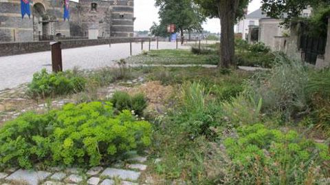 La promenade du bout du monde, à Angers, a été récompensée par un prix spécial « Coeur de ville » lors des Victoires du paysage, remises hier soir à la salle Wagram, à Paris. ©Pascal Fayolle La promenade du bout du monde, à Angers, a été récompensée par un prix spécial « Coeur de ville » lors des Victoires du paysage, remises hier soir à la salle Wagram, à Paris. ©Pascal Fayolle