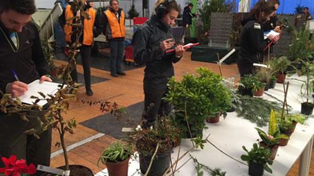 Parmi les épreuves aux olympiades pour le métier « horticulture », la reconnaissance des végétaux garde une place essentielle. (c)Cédric Mérille, juré Nouvelle-Aquitaine Parmi les épreuves aux olympiades pour le métier « horticulture », la reconnaissance des végétaux garde une place essentielle. (c)Cédric Mérille, juré Nouvelle-Aquitaine