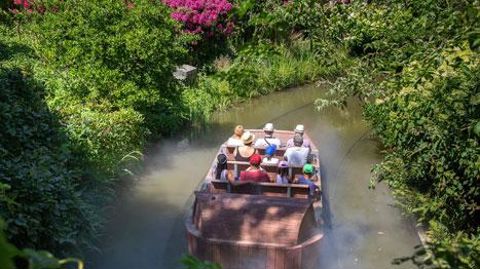 Ponctué d'attractions, ce parc centré sur le végétal permet de découvrir la flore des 6 continents grâce à plus de 5 000 espèces. ©Terra Botanica Ponctué d'attractions, ce parc centré sur le végétal permet de découvrir la flore des 6 continents grâce à plus de 5 000 espèces. ©Terra Botanica