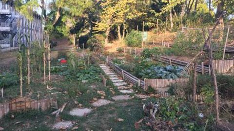 Le campus de l'Université Paris-Nanterre, est le premier campus à recevoir le label Ecojardin pour ses espaces verts. (Campus Université Paris-Nanterre©ARP-ASTRANCE_2018). Le campus de l'Université Paris-Nanterre, est le premier campus à recevoir le label Ecojardin pour ses espaces verts. (Campus Université Paris-Nanterre©ARP-ASTRANCE_2018).