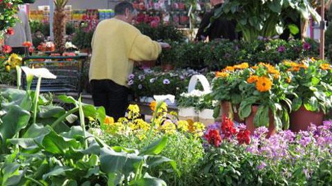 En 2015, à périmètre de magasins comparables, les jardineries ont enregistré une hausse de 0,4 % de leur chiffre d'affaires. ©Valérie Vidril En 2015, à périmètre de magasins comparables, les jardineries ont enregistré une hausse de 0,4 % de leur chiffre d'affaires. ©Valérie Vidril