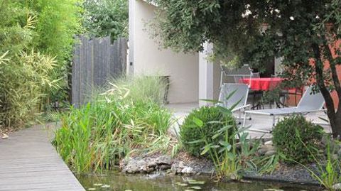 Près de quatre propriétaires de jardins urbains sur cinq y possèdent au moins un végétal, mais leur frein est l'entretien de ces plantes et l'absence de savoir-faire.  ©Pascal Fayolle Près de quatre propriétaires de jardins urbains sur cinq y possèdent au moins un végétal, mais leur frein est l'entretien de ces plantes et l'absence de savoir-faire.  ©Pascal Fayolle