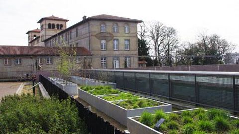 Le « pollinarium sentinelle » de Rennes (35) est installé dans le square Lucien-Rose.(c)Yaël Haddad Le « pollinarium sentinelle » de Rennes (35) est installé dans le square Lucien-Rose.(c)Yaël Haddad