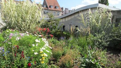 Le « tout-saisonnier » a vécu dans les espaces fleuris des collectivités, mais il ne faut pas l'opposer au « tout-pérenne ». Les deux visions peuvent cohabiter. (c)Pascal Fayolle Le « tout-saisonnier » a vécu dans les espaces fleuris des collectivités, mais il ne faut pas l'opposer au « tout-pérenne ». Les deux visions peuvent cohabiter. (c)Pascal Fayolle