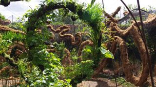 Jean-Philippe Poirée-Ville propose une réflexion originale sur la végétalisation verticale, plus écologique et économe que ce qui se fait aujourd'hui. (c)Yaël Haddad Jean-Philippe Poirée-Ville propose une réflexion originale sur la végétalisation verticale, plus écologique et économe que ce qui se fait aujourd'hui. (c)Yaël Haddad Jean-Philippe Poirée-Ville propose une réflexion originale sur la végétalisation verticale, plus écologique et économe que ce qui se fait aujourd'hui. (c)Yaël Haddad Jean-Philippe Poirée-Ville propose une réflexion originale sur la végétalisation verticale, plus écologique et économe que ce qui se fait aujourd'hui. (c)Yaël Haddad