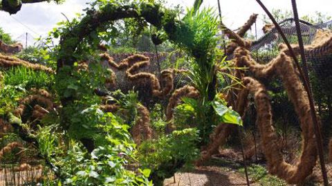 Jean-Philippe Poirée-Ville propose une réflexion originale sur la végétalisation verticale, plus écologique et économe que ce qui se fait aujourd'hui. (c)Yaël Haddad Jean-Philippe Poirée-Ville propose une réflexion originale sur la végétalisation verticale, plus écologique et économe que ce qui se fait aujourd'hui. (c)Yaël Haddad