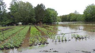 Les exploitations agricoles touchées par les inondations vont pour certaines devoir réduire voire arrêter leur activité dans l'attente de nouveaux cycles de production. Leurs salariés se retrouvant en inactivité peuvent bénéficier de formations durant cette période.(c)Pépinières Loiseau Thoury Les exploitations agricoles touchées par les inondations vont pour certaines devoir réduire voire arrêter leur activité dans l'attente de nouveaux cycles de production. Leurs salariés se retrouvant en inac