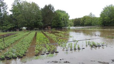 Les exploitations agricoles touchées par les inondations vont pour certaines devoir réduire voire arrêter leur activité dans l'attente de nouveaux cycles de production. Leurs salariés se retrouvant en inactivité peuvent bénéficier de formations durant cette période.(c)Pépinières Loiseau Thoury Les exploitations agricoles touchées par les inondations vont pour certaines devoir réduire voire arrêter leur activité dans l'attente de nouveaux cycles de production. Leurs salariés se retrouvant en inac