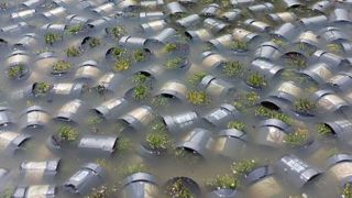 Au 9 juin 2016, 782 communes de 26 départements étaient susceptibles d'être retenues pour la déclaration de catastrophe naturelle, en France. Des maraîchers sous serre et des horticulteurs du Loiret ont subi des dommages.©Gartenbau Versicherung. Au 9 juin 2016, 782 communes de 26 départements étaient susceptibles d'être retenues pour la déclaration de catastrophe naturelle, en France. Des maraîchers sous serre et des horticulteurs du Loiret ont subi des dommages.©Gartenbau Versicherung. Au 9 juin 2016, 782 communes de 26 départements étaient susceptibles d'être retenues pour la déclaration de catastrophe naturelle, en France. Des maraîchers sous serre et des horticulteurs du Loiret ont subi des dommages.©Gartenbau Versicherung. Au 9 juin 2016, 782 communes de 26 départements étaient susceptibles d'être retenues pour la déclaration de catastrophe naturelle, en France. Des maraîchers sous serre et des horticulteurs du Loiret ont subi des dommages.©Gartenbau Versicherung.