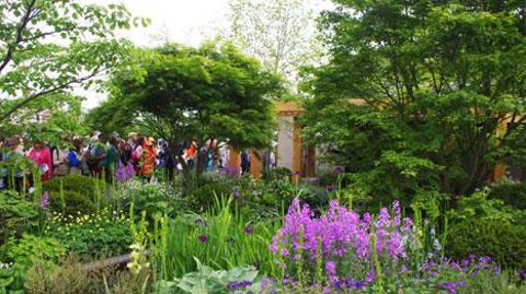 La météo clémente n'a fait que renforcer l'incroyable engouement pour les jardins éphémères de Chelsea Flower Show 2016.(c)Yaël Haddad La météo clémente n'a fait que renforcer l'incroyable engouement pour les jardins éphémères de Chelsea Flower Show 2016.(c)Yaël Haddad
