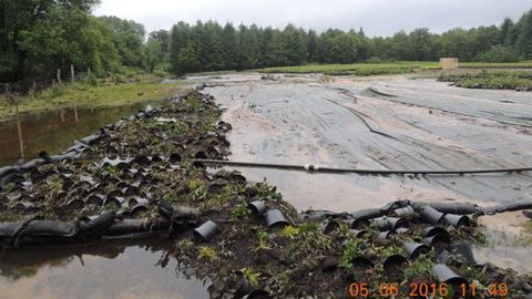 Dans le Loiret et le Loir-et-Cher, au total 25 entreprises se sont manifestées avec des dégâts variables mais pour quelques-unes ils sont très importants. ©Pépinières Loiseau Thoury 