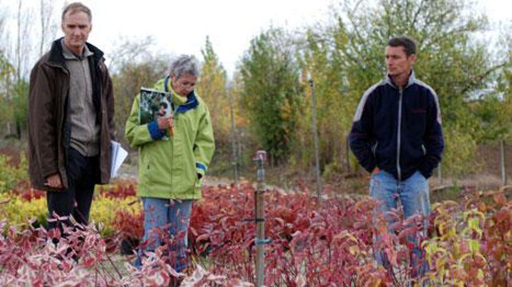 Contrôle phytosanitaire du Sral en pépinière ornementale. (c)Jerôme Jullien Contrôle phytosanitaire du Sral en pépinière ornementale. (c)Jerôme Jullien