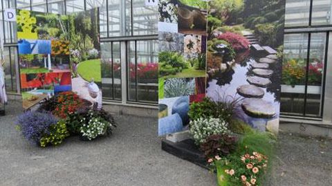 Pour répondre aux enjeux de compétitivité et de durabilité, Astredhor mise sur l'innovation, mais aussi la connaissance des marchés et des entreprises. Ici, le projet « Marketing et merchandising en horticulture ornementale » du GIE Fleurs et plantes. ©Odile Maillard Pour répondre aux enjeux de compétitivité et de durabilité, Astredhor mise sur l'innovation, mais aussi la connaissance des marchés et des entreprises. Ici, le projet « Marketing et merchandising en horticulture ornementale » du GIE