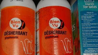 Les produits associant du glyphosate à du POEA vont être retirés du marché. (c)Valérie Vidril Les produits associant du glyphosate à du POEA vont être retirés du marché. (c)Valérie Vidril Les produits associant du glyphosate à du POEA vont être retirés du marché. (c)Valérie Vidril Les produits associant du glyphosate à du POEA vont être retirés du marché. (c)Valérie Vidril
