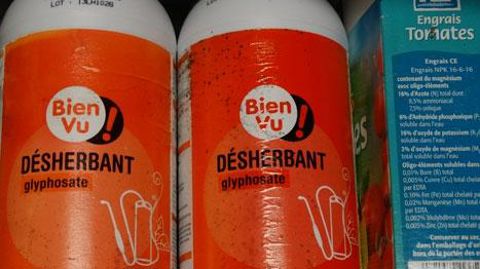 Les produits associant du glyphosate à du POEA vont être retirés du marché. (c)Valérie Vidril Les produits associant du glyphosate à du POEA vont être retirés du marché. (c)Valérie Vidril
