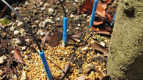 Le règlement en cours de discussion permettrait d'homogénéiser la mise en marché des fertilisants au niveau européen. Il fixe toutefois des critères restrictifs pour les engrais enrobés qui entraîneraient leur interdiction. ©Valérie Vidril Le règlement en cours de discussion permettrait d'homogénéiser la mise en marché des fertilisants au niveau européen. Il fixe toutefois des critères restrictifs pour les engrais enrobés qui entraîneraient leur interdiction. ©Valérie Vidril