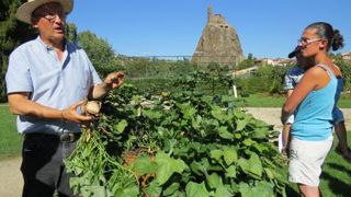 Pierre-Guy Chaniac, commercial pour Graines Voltz, a présenté des associations mêlant vigne, figuier, framboisier, herbes aromatiques... À droite, une représentante des Ets Sioule Végétal, à Chouvigny (03). Pierre-Guy Chaniac, commercial pour Graines Voltz, a présenté des associations mêlant vigne, figuier, framboisier, herbes aromatiques... À droite, une représentante des Ets Sioule Végétal, à Chouvigny (03). Pierre-Guy Chaniac, commercial pour Graines Voltz, a présenté des associations mêlant vigne, figuier, framboisier, herbes aromatiques... À droite, une représentante des Ets Sioule Végétal, à Chouvigny (03). Pierre-Guy Chaniac, commercial pour Graines Voltz, a présenté des associations mêlant vigne, figuier, framboisier, herbes aromatiques... À droite, une représentante des Ets Sioule Végétal, à Chouvigny (03).