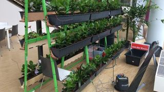 Powerplant, présenté par le Wellantcollege de Delft, a été primé au concours « La meilleure idée du Plantarium » dans la catégorie « étudiant » : ce mur végétal est capable de fournir assez d'énergie pour recharger un smartphone. Powerplant, présenté par le Wellantcollege de Delft, a été primé au concours « La meilleure idée du Plantarium » dans la catégorie « étudiant » : ce mur végétal est capable de fournir assez d'énergie pour recharger un smartphone.