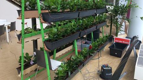 Powerplant, présenté par le Wellantcollege de Delft, a été primé au concours « La meilleure idée du Plantarium » dans la catégorie « étudiant » : ce mur végétal est capable de fournir assez d'énergie pour recharger un smartphone. Powerplant, présenté par le Wellantcollege de Delft, a été primé au concours « La meilleure idée du Plantarium » dans la catégorie « étudiant » : ce mur végétal est capable de fournir assez d'énergie pour recharger un smartphone.