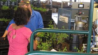 En deux ans, la production française a vu 543 entreprises mettre la clé sous la porte (sur 4 154 en activité), le chiffre d'affaires global s'est effondré (- 12%) et 1 449 salariés ont été mis au chômage (destruction de 1 935 ETP au total), s'inquiètent la FNPHP, Felcoop et l'Uniphor, qui ont écrit au ministre.(c)Pascal Fayolle En deux ans, la production française a vu 543 entreprises mettre la clé sous la porte (sur 4 154 en activité), le chiffre d'affaires global s'est effondré (- 12%) et 1 44