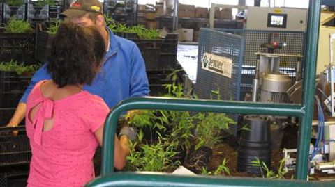 En deux ans, la production française a vu 543 entreprises mettre la clé sous la porte (sur 4 154 en activité), le chiffre d'affaires global s'est effondré (- 12%) et 1 449 salariés ont été mis au chômage (destruction de 1 935 ETP au total), s'inquiètent la FNPHP, Felcoop et l'Uniphor, qui ont écrit au ministre.(c)Pascal Fayolle En deux ans, la production française a vu 543 entreprises mettre la clé sous la porte (sur 4 154 en activité), le chiffre d'affaires global s'est effondré (- 12%) et 1 44