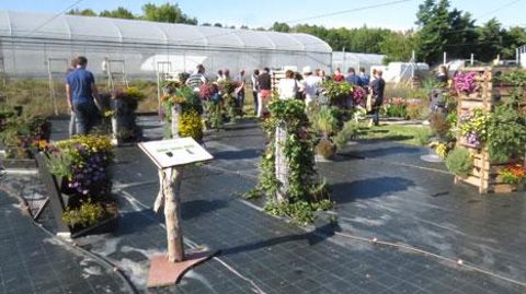 Essais de productions hors-sol sur des tours de culture, avec comparaison de substrats, de contenants, de supports, de plantes, d'origines... Photo prise à la stration Arexhor Seine-Manche de Saint-Germain-en-Laye (78). Essais de productions hors-sol sur des tours de culture, avec comparaison de substrats, de contenants, de supports, de plantes, d'origines... Photo prise à la stration Arexhor Seine-Manche de Saint-Germain-en-Laye (78).