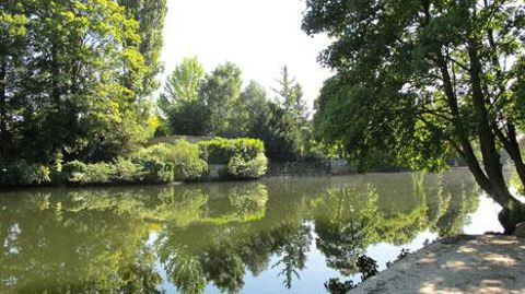 La conférence organisée par l'AFPP a mis en avant les stratégies développées par les gestionnaires confrontés aux invasions biologiques, dans un contexte de diminution des solutions de traitement, ainsi que l'avancée des recherches. La conférence organisée par l'AFPP a mis en avant les stratégies développées par les gestionnaires confrontés aux invasions biologiques, dans un contexte de diminution des solutions de traitement, ainsi que l'avancée des recherches.