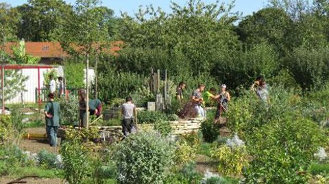 Le concours du Lien horticole invite les apprenants à communiquer sur les réalisations ou missions qu'ils ont menées en collaboration avec des entreprises, et à réaliser un blog sur une plate-forme dédiée. Le concours du Lien horticole invite les apprenants à communiquer sur les réalisations ou missions qu'ils ont menées en collaboration avec des entreprises, et à réaliser un blog sur une plate-forme dédiée.