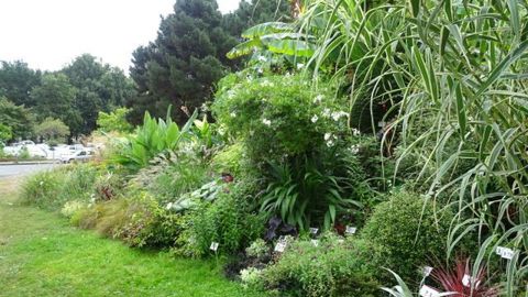 ©S. Guillet Les massifs autour de l'école d'Agrocampus Ouest à Angers (49) permettent de tester de nombreuses nouveautés. Ils servent également de base de reconnaissance pour les élèves ingénieurs en horticulture et paysage.