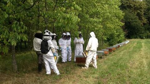 Les partenariats menés par le centre de formation et de promotion horticole de Lyon-Écully (69) et ses stagiaires adultes autour de la biodiversité, de l'apiculture, de l'agriculture urbaine et de la botanique peuvent entrer, par exemple, dans le cadre du concours. ©CFPH-Écully Les partenariats menés par le centre de formation et de promotion horticole de Lyon-Écully (69) et ses stagiaires adultes autour de la biodiversité, de l'apiculture, de l'agriculture urbaine et de la botanique peuvent ent