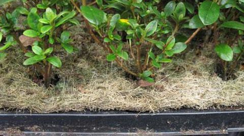 Fertilisants, paillages, biostimulants, supports de culture ont leur rôle à jouer dans la transition vers l'économie circulaire, insiste Afaïa.(c)Valérie Vidril Fertilisants, paillages, biostimulants, supports de culture ont leur rôle à jouer dans la transition vers l'économie circulaire, insiste Afaïa.(c)Valérie Vidril