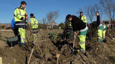 Parmi les premières écoles à avoir manifesté leur intérêt pour le concours figure le CFA de Lomme, avec ici un chantier de verger-maraîcher. ©PHOTO CFA du Nord Parmi les premières écoles à avoir manifesté leur intérêt pour le concours figure le CFA de Lomme, avec ici un chantier de verger-maraîcher. ©PHOTO CFA du Nord