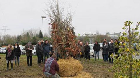 Lors de la journée Florysage, organisée sous le parrainage de Val'hor et en partenariat avec l'Unep et Natureparif, les participants ont assisté à deux démonstrations d'arrachage aux pépinières Allavoine. ©Valérie Vidril Lors de la journée Florysage, organisée sous le parrainage de Val'hor et en partenariat avec l'Unep et Natureparif, les participants ont assisté à deux démonstrations d'arrachage aux pépinières Allavoine. ©Valérie Vidril