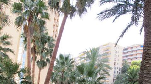 La détection acoustique, nouvelle technique présentée lors de cette journée, permet de repérer un palmier infesté au moyen de capteurs et de détecter les larves avant l'apparition de symptomes. (c)Pascal Fayolle La détection acoustique, nouvelle technique présentée lors de cette journée, permet de repérer un palmier infesté au moyen de capteurs et de détecter les larves avant l'apparition de symptomes. (c)Pascal Fayolle