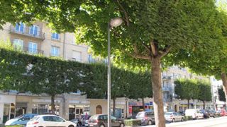 Mode ou vrai phénomène de fond, pour des marchés de niche ou non, si le label « Végétal local » interroge, il n'occulte pas la préoccupation majeure des pépiniéristes : vendre leurs productions. (c)Valérie Vidril Mode ou vrai phénomène de fond, pour des marchés de niche ou non, si le label « Végétal local » interroge, il n'occulte pas la préoccupation majeure des pépiniéristes : vendre leurs productions. (c)Valérie Vidril Mode ou vrai phénomène de fond, pour des marchés de niche ou non, si le label « Végétal local » interroge, il n'occulte pas la préoccupation majeure des pépiniéristes : vendre leurs productions. (c)Valérie Vidril Mode ou vrai phénomène de fond, pour des marchés de niche ou non, si le label « Végétal local » interroge, il n'occulte pas la préoccupation majeure des pépiniéristes : vendre leurs productions. (c)Valérie Vidril