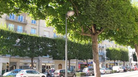 Mode ou vrai phénomène de fond, pour des marchés de niche ou non, si le label « Végétal local » interroge, il n'occulte pas la préoccupation majeure des pépiniéristes : vendre leurs productions. (c)Valérie Vidril Mode ou vrai phénomène de fond, pour des marchés de niche ou non, si le label « Végétal local » interroge, il n'occulte pas la préoccupation majeure des pépiniéristes : vendre leurs productions. (c)Valérie Vidril