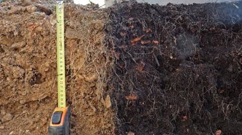 Est-il possible de faire pousser des végétaux en ville sur des matériaux recyclés issus du milieu urbain ? Oui, d'après les travaux du programme Siterre qui ouvrent des perspectives nouvelles pour la végétalisation urbaine, l'économie circulaire et la ville durable. (c)Photo Michel Legret Est-il possible de faire pousser des végétaux en ville sur des matériaux recyclés issus du milieu urbain ? Oui, d'après les travaux du programme Siterre qui ouvrent des perspectives nouvelles pour la végétalisa