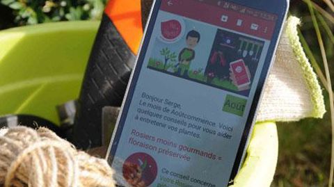 Le coach végétal qui accompagne la démarche marketing de Vive le végétal consiste à apporter des conseils gratuits tous les mois au jardinier afin qu'il réussisse sa culture. ©Vive le Végétal Le coach végétal qui accompagne la démarche marketing de Vive le végétal consiste à apporter des conseils gratuits tous les mois au jardinier afin qu'il réussisse sa culture. ©Vive le Végétal