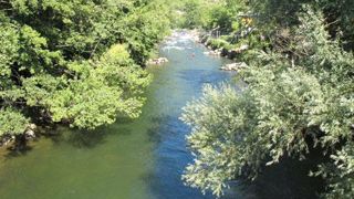 L'arbre et le rôle qu'il peut jouer le long des cours d'eau pour réguler les inondations, tel était le thème du troisième colloque Génie végétal Génie écologique, organisé le 7 février 2017 par Val'Hor à Paris ©Pascal Fayolle L'arbre et le rôle qu'il peut jouer le long des cours d'eau pour réguler les inondations, tel était le thème du troisième colloque Génie végétal Génie écologique, organisé le 7 février 2017 par Val'Hor à Paris ©Pascal Fayolle