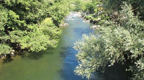 L'arbre et le rôle qu'il peut jouer le long des cours d'eau pour réguler les inondations, tel était le thème du troisième colloque Génie végétal Génie écologique, organisé le 7 février 2017 par Val'Hor à Paris ©Pascal Fayolle L'arbre et le rôle qu'il peut jouer le long des cours d'eau pour réguler les inondations, tel était le thème du troisième colloque Génie végétal Génie écologique, organisé le 7 février 2017 par Val'Hor à Paris ©Pascal Fayolle