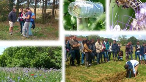 L'EPL de Toulouse Auzeville (31) mène des actions où le collectif est important dans le projet pédagogique, en lien avec l'exploitation agricole. L'EPL de Toulouse Auzeville (31) mène des actions où le collectif est important dans le projet pédagogique, en lien avec l'exploitation agricole.