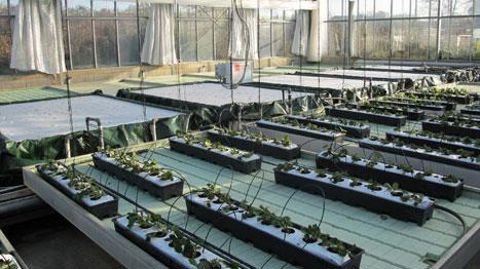 La station apporte de l'appui technique à ses adhérents et suit des programmes d'expérimentation, dont le financement devient de plus en plus compliqué.(c)Valérie Vidril La station apporte de l'appui technique à ses adhérents et suit des programmes d'expérimentation, dont le financement devient de plus en plus compliqué.(c)Valérie Vidril